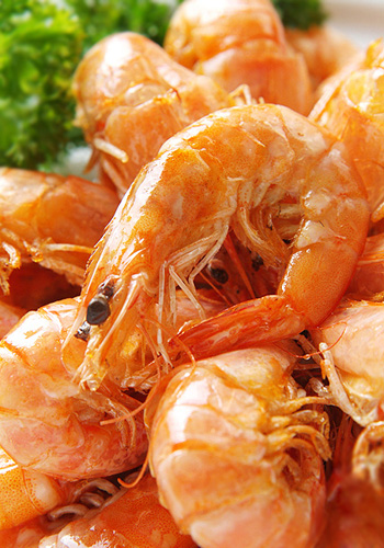 ������֭�r