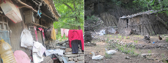 ֱNIW,_,_ֱN,ֱN,ֱNЇ,ЇֱN,N