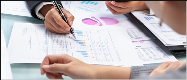 DSAl(f)2013ИI(y)y(tng)Ӌ(j)(bo)